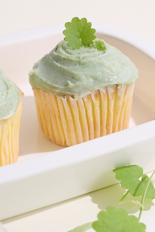 Real Centella Cica Calming Pack & Foam