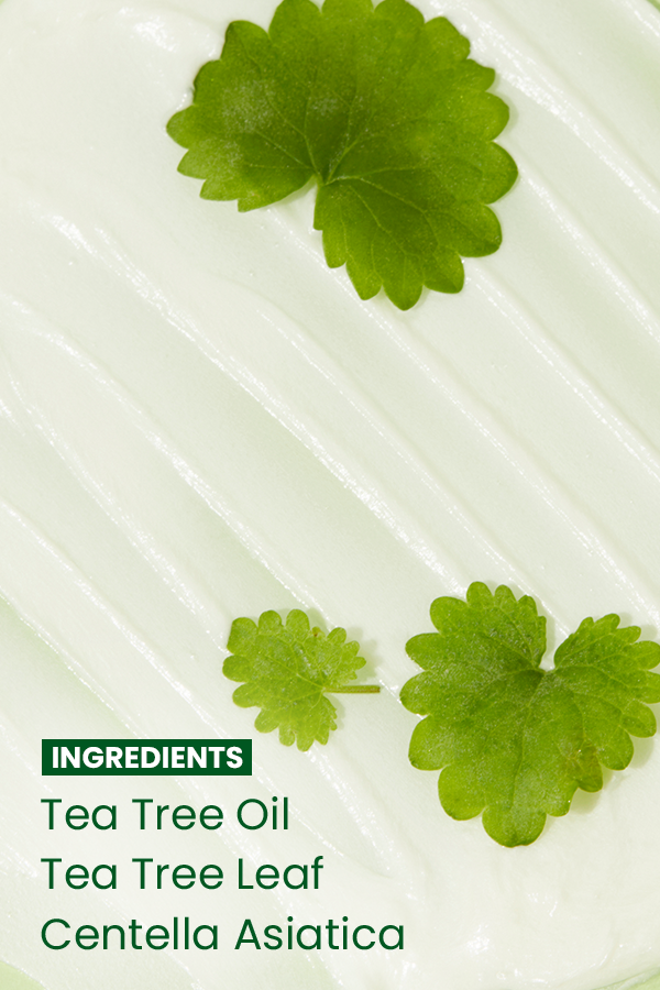 Tea Tree Control Cleansing Foam